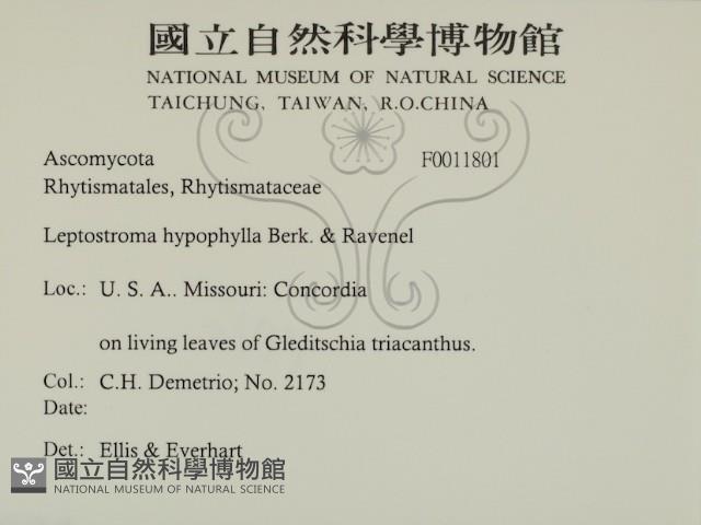 登錄號:F0011801藏品圖，第2張