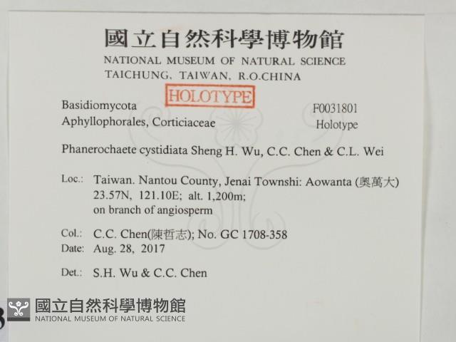 登錄號:F0031801藏品圖，第2張