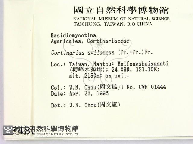 登錄號:F0004801藏品圖，第2張
