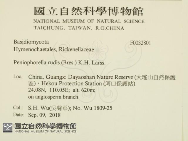 登錄號:F0032801藏品圖，第2張