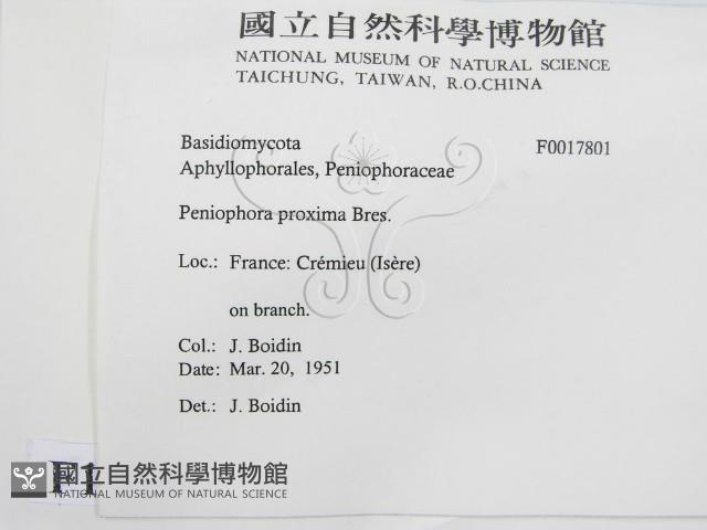 登錄號:F0017801藏品圖，第2張