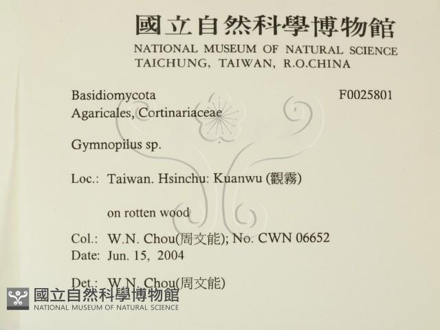 登錄號:F0025801藏品圖，第2張