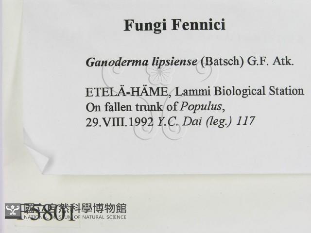 登錄號:F0005801藏品圖，第2張
