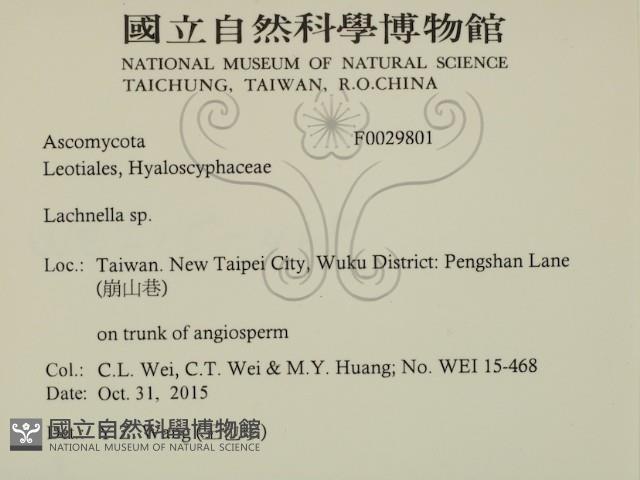 登錄號:F0029801藏品圖，第2張