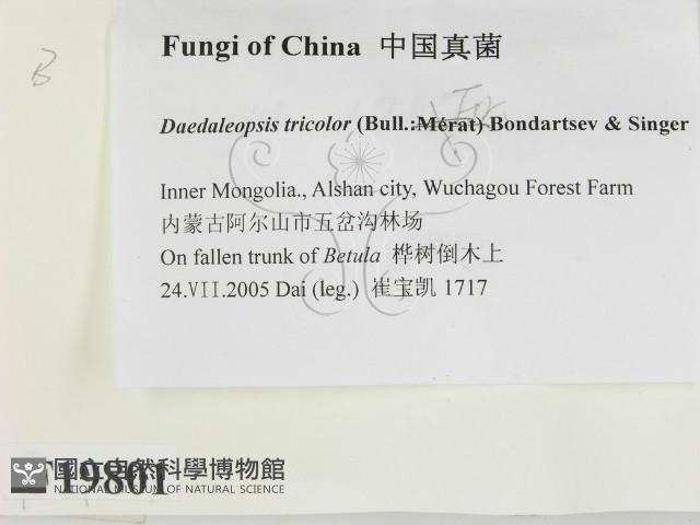登錄號:F0019801藏品圖，第2張