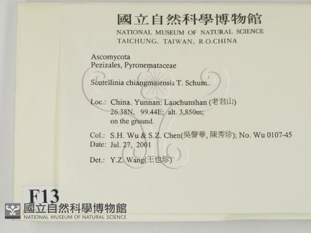 登錄號:F0013801藏品圖，第2張