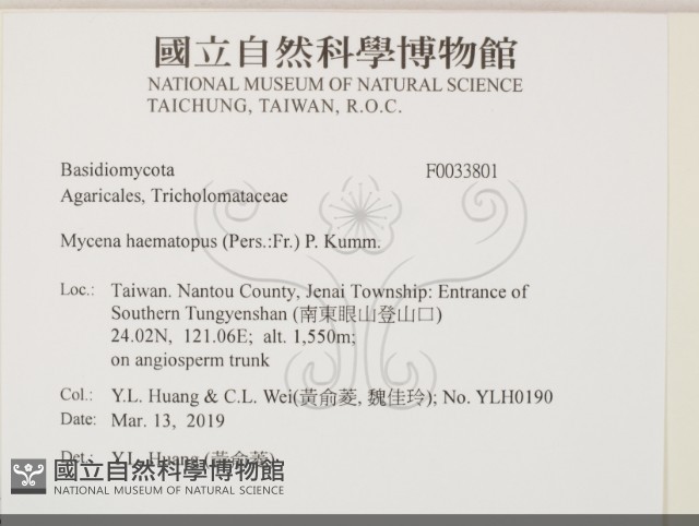 登錄號:F0033801藏品圖，第2張