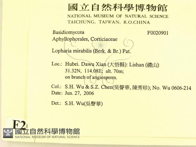 登錄號:F0020901藏品圖，第2張