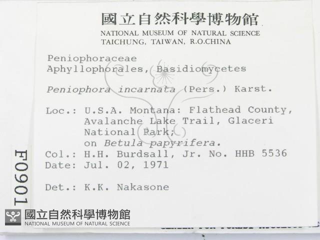 登錄號:F0000901藏品圖，第2張