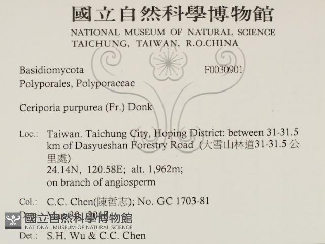 登錄號:F0030901藏品圖，第2張