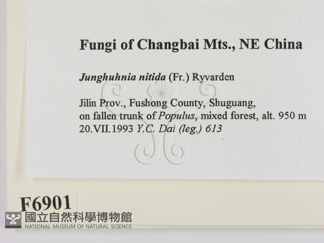登錄號:F0006901藏品圖，第2張
