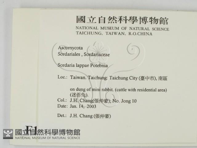 登錄號:F0016901藏品圖，第2張