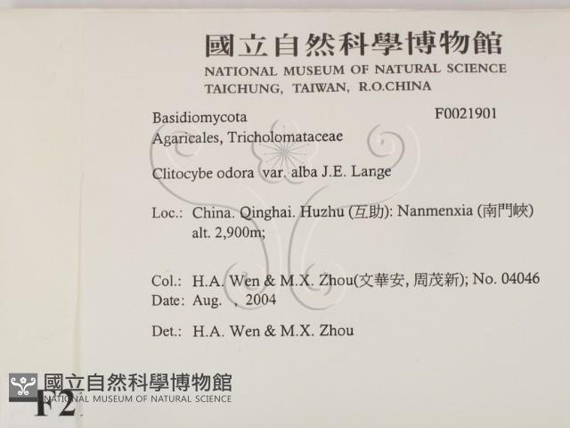 登錄號:F0021901藏品圖，第2張