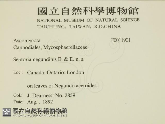 登錄號:F0011901藏品圖，第2張