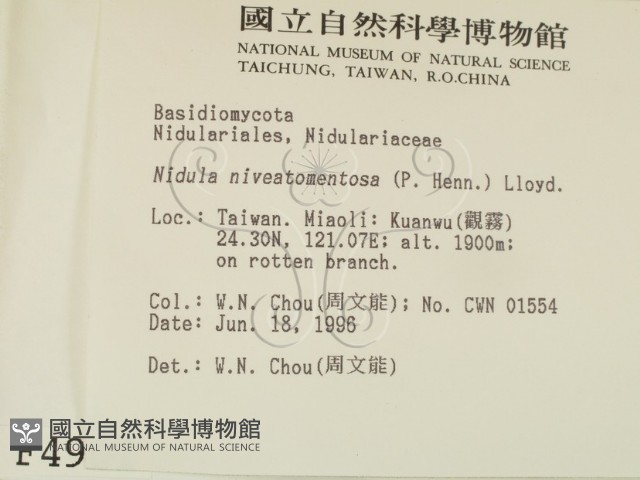 登錄號:F0004901藏品圖，第2張