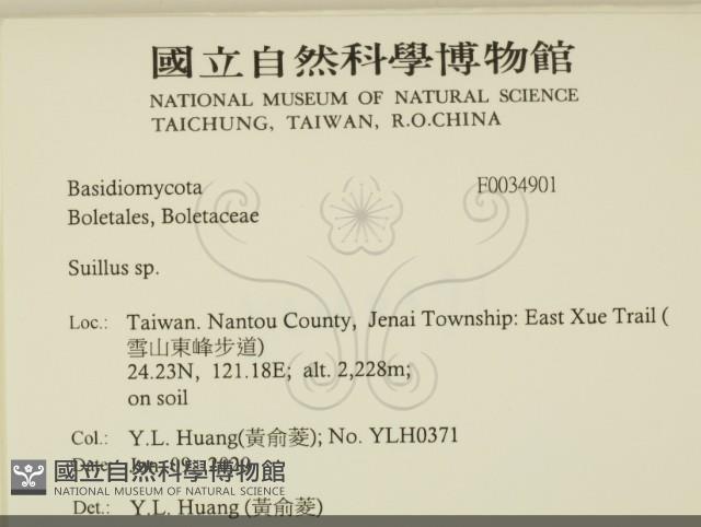 登錄號:F0034901藏品圖，第2張