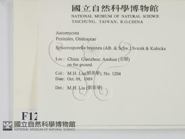 登錄號:F0012901藏品圖，第2張