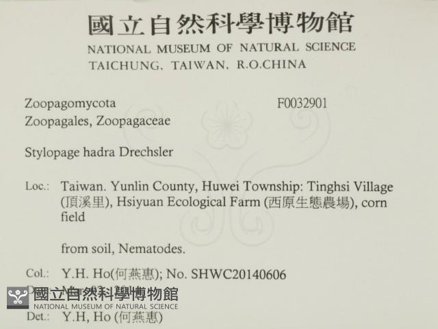 登錄號:F0032901藏品圖，第2張