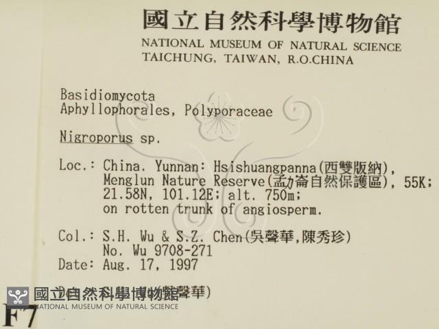 登錄號:F0007901藏品圖，第2張