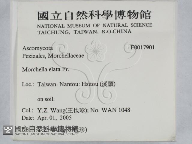 登錄號:F0017901藏品圖，第2張