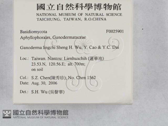 登錄號:F0025901藏品圖，第2張