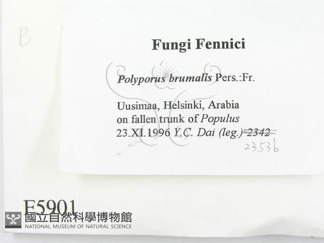 登錄號:F0005901藏品圖，第2張