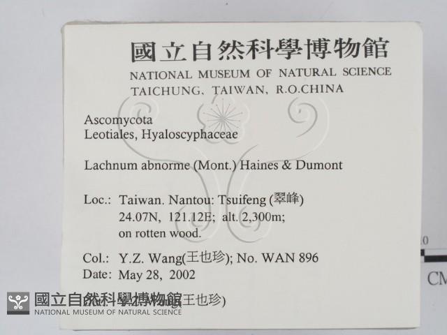 登錄號:F0013901藏品圖，第2張