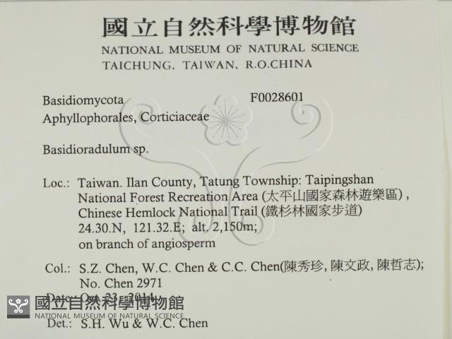 登錄號:F0028601藏品圖，第2張