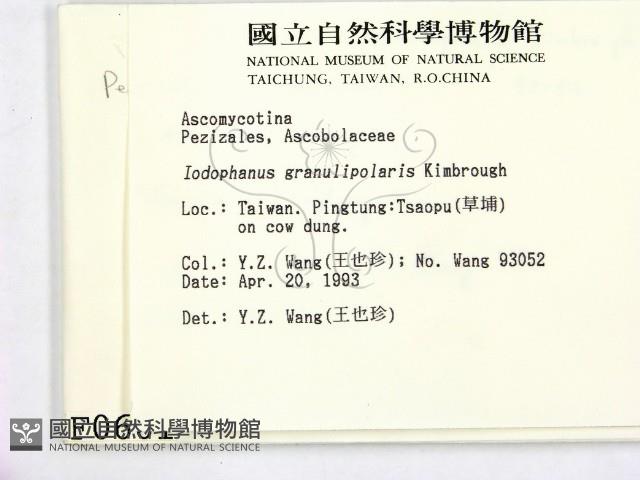 登錄號:F0000601藏品圖，第2張