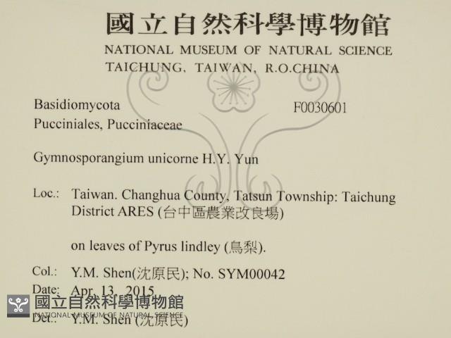 登錄號:F0030601藏品圖，第2張