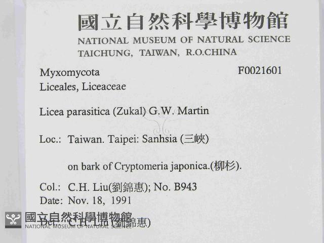 登錄號:F0021601藏品圖，第2張
