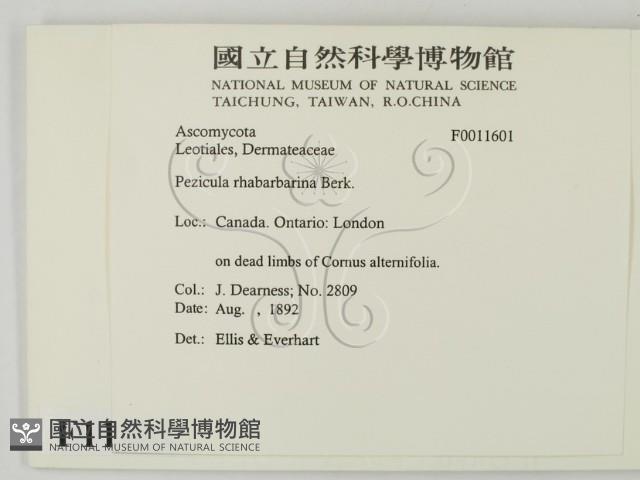 登錄號:F0011601藏品圖，第2張