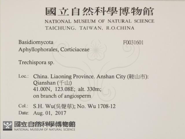 登錄號:F0031601藏品圖，第2張