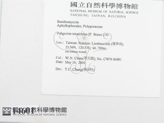 登錄號:F0014601藏品圖，第2張