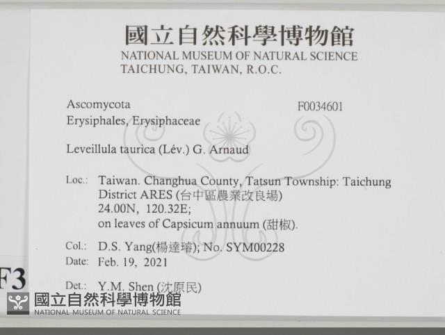 登錄號:F0034601藏品圖，第2張