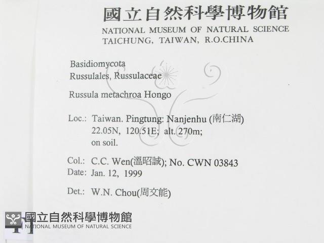 登錄號:F0012601藏品圖，第2張