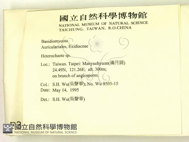刺皮菌屬藏品圖，第2張