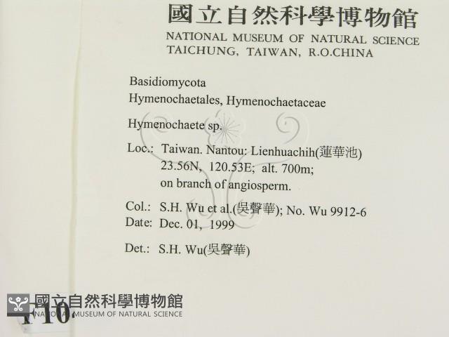 刺革菌屬藏品圖，第2張