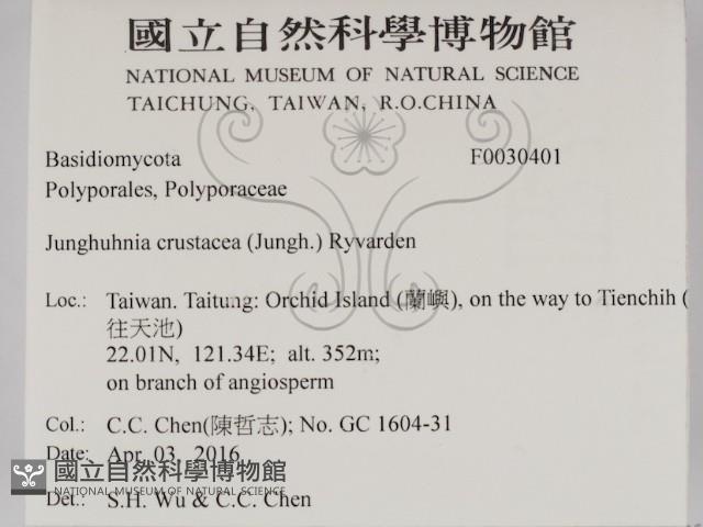 登錄號:F0030401藏品圖，第2張