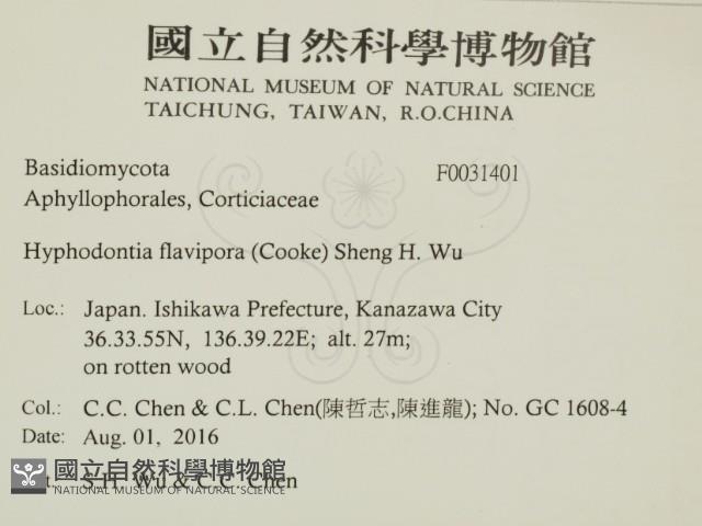 登錄號:F0031401藏品圖，第2張