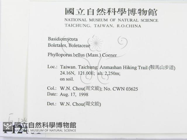 登錄號:F0012401藏品圖，第2張