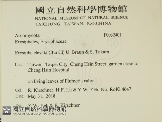 登錄號:F0032401藏品圖，第2張
