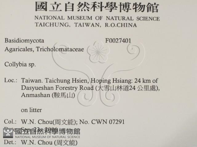 登錄號:F0027401藏品圖，第2張