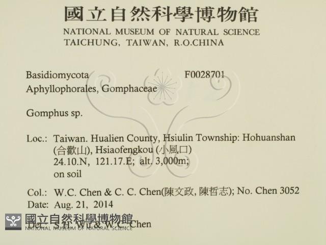 登錄號:F0028701藏品圖，第2張