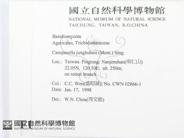 登錄號:F0010701藏品圖，第2張
