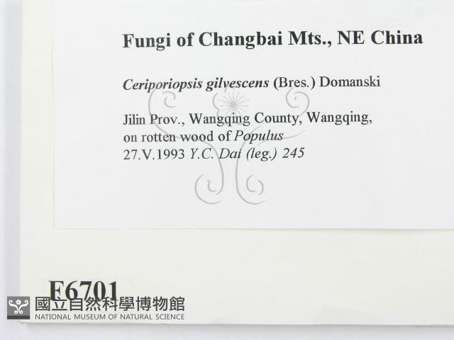 登錄號:F0006701藏品圖，第2張