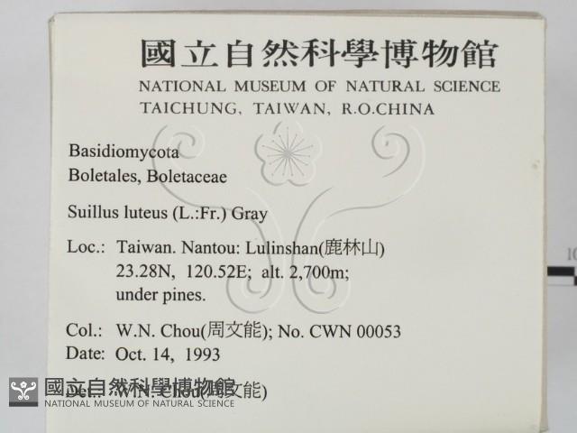 登錄號:F0001701藏品圖，第2張