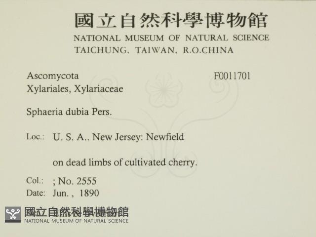 登錄號:F0011701藏品圖，第2張