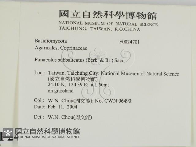 登錄號:F0024701藏品圖，第2張