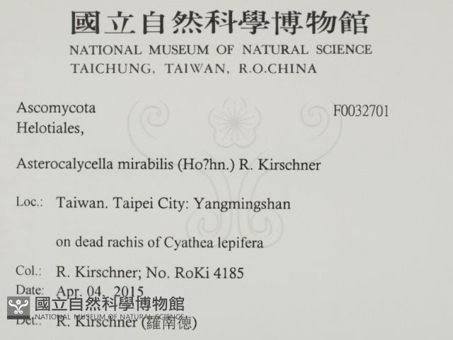 登錄號:F0032701藏品圖，第2張